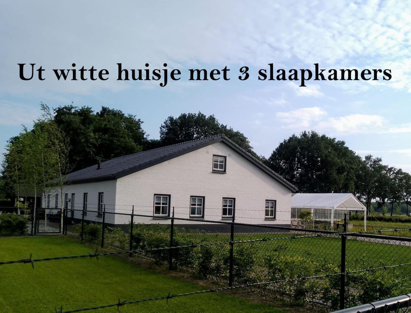Ut Witte Huisje Venhorst Экстерьер фото