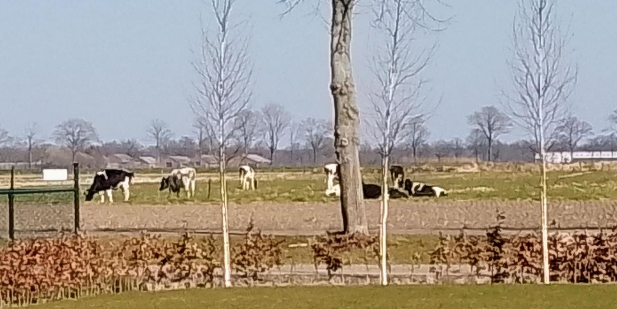 Ut Witte Huisje Venhorst Экстерьер фото